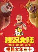 搜索引擎优化技巧分享本地SEO优化实用方法